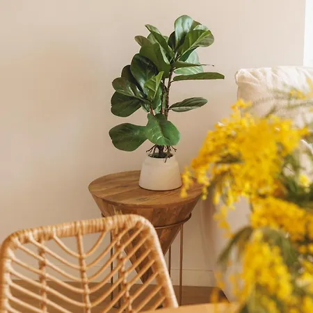 Bravissimo Calderers La Serp, View Over Onyar River Апартаменты